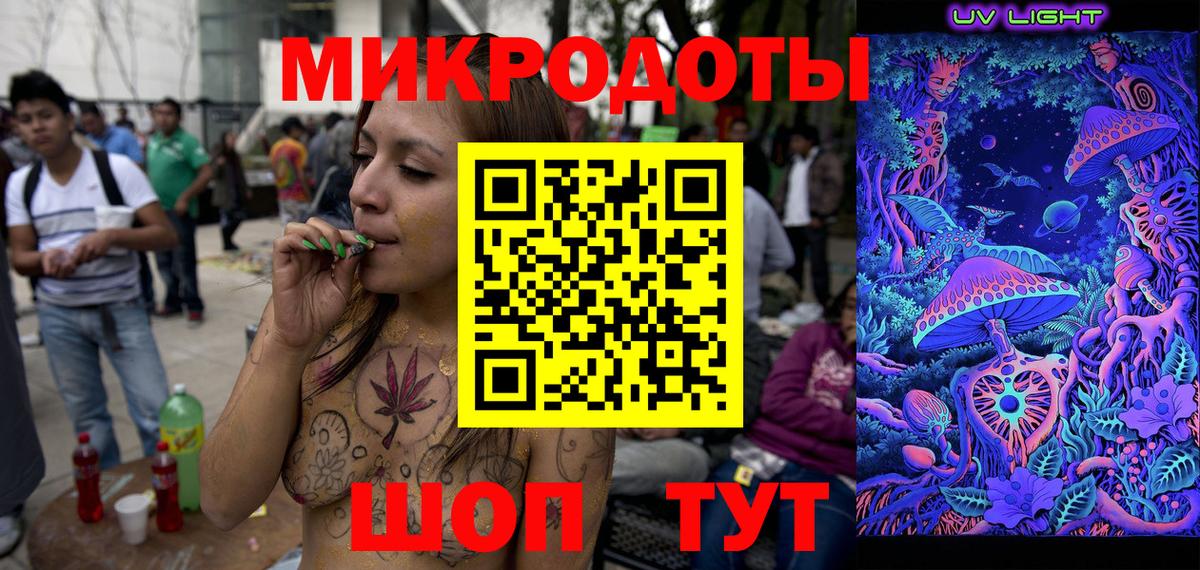 Галлюциногенные грибы Psilocybe Тверь