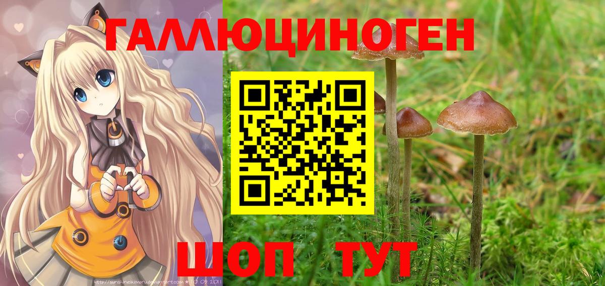 Галлюциногенные грибы Cubensis  Вход с VPN  наркошоп  Тверь 