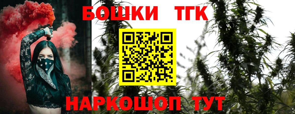 Канабис сатива Тверь